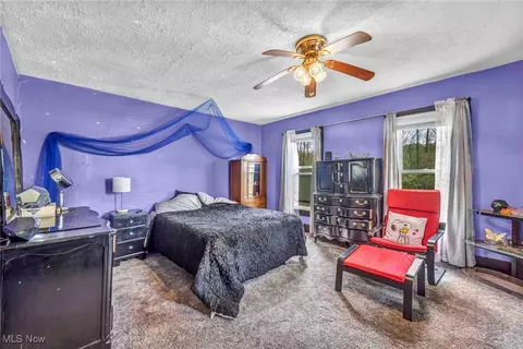 6873 Nichols Rd, Windham, OH 44288 photo 15