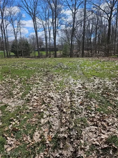 196 Ashtabula Pt, Roaming Shores, OH 44084
