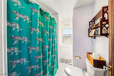 Bath - 261 E 214th St, Euclid, OH 44123 photo 2 of 3