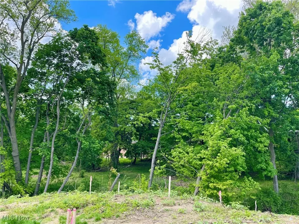  9025 Jackson St, Mentor, OH 44060 photo 7