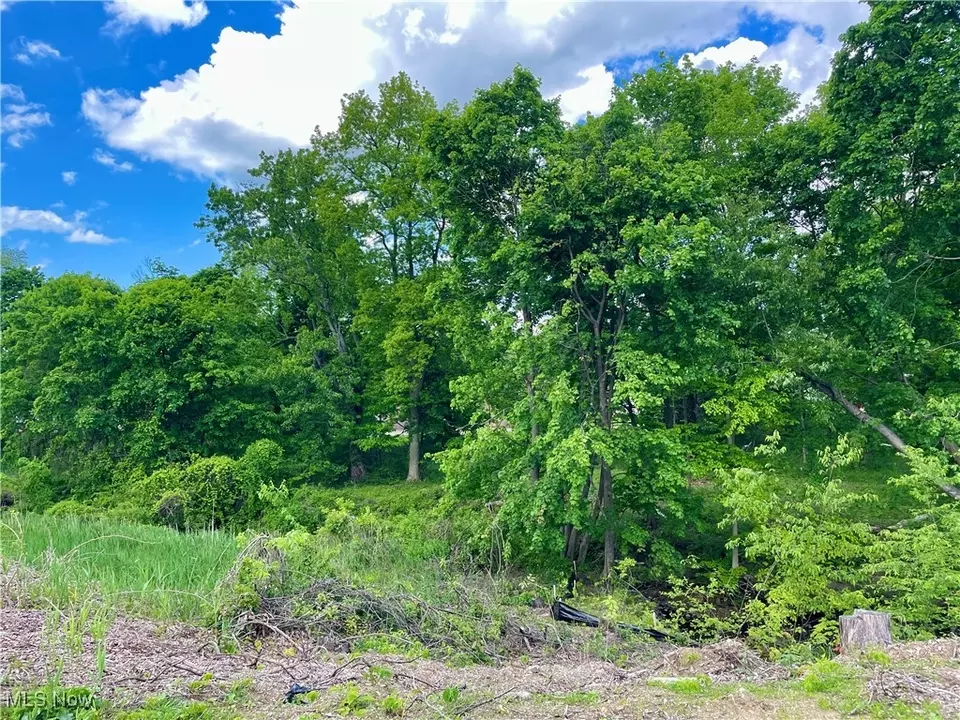  9025 Jackson St, Mentor, OH 44060 photo 3