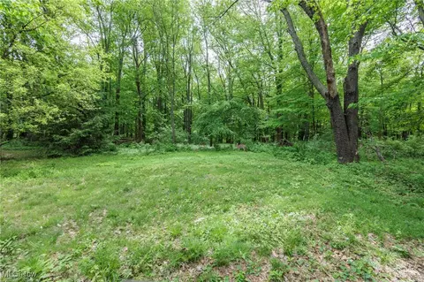 Exterior - 5609 Walnut St, Mentor On The Lake, OH 44060 photo 9 of 9