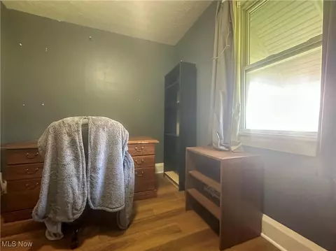 39 Wayne St, Niles, OH 44446 photo 25