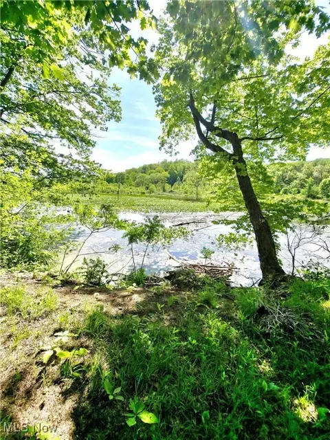View/Area - 2876 Hayes Dr, Willoughby Hills, OH 44094 photo 3 of 4