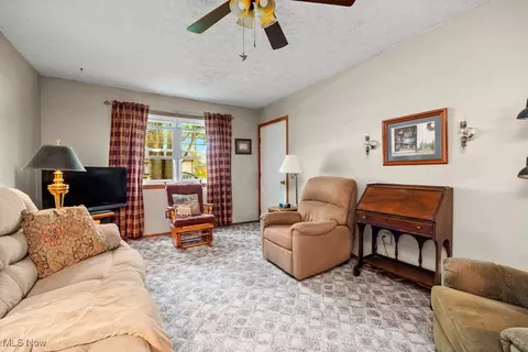 221 Forest St, Lagrange, OH 44050 photo 12