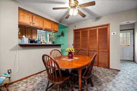 221 Forest St, Lagrange, OH 44050 photo 9