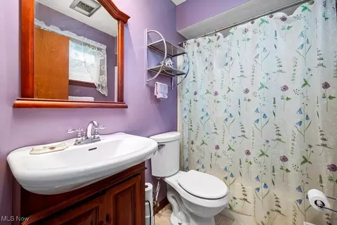 221 Forest St, Lagrange, OH 44050 photo 6