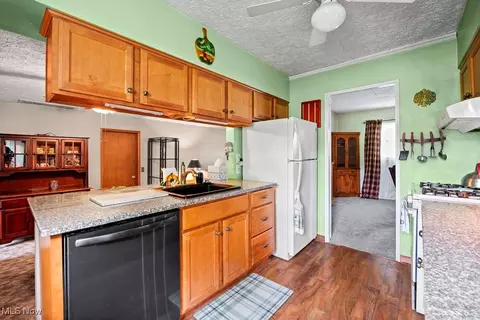 221 Forest St, Lagrange, OH 44050 photo 16