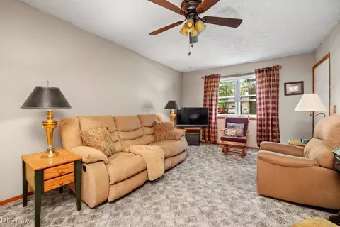 221 Forest St, Lagrange, OH 44050 photo 11