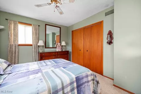 221 Forest St, Lagrange, OH 44050 photo 4