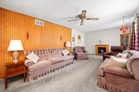 221 Forest St, Lagrange, OH 44050 photo 22