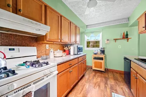 221 Forest St, Lagrange, OH 44050 photo 19