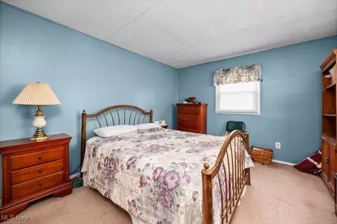 221 Forest St, Lagrange, OH 44050 photo 29