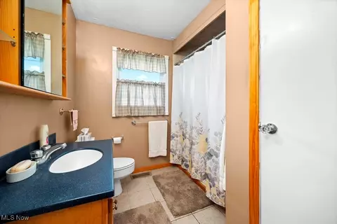 221 Forest St, Lagrange, OH 44050 photo 24