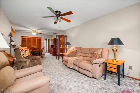 221 Forest St, Lagrange, OH 44050 photo 13