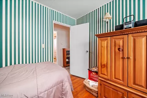 221 Forest St, Lagrange, OH 44050 photo 34