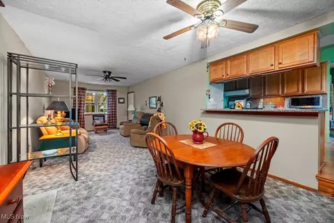 221 Forest St, Lagrange, OH 44050 photo 7