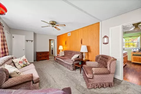 221 Forest St, Lagrange, OH 44050 photo 20