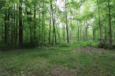 6191 Root Rd, Spencer, OH 44275 photo 20