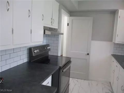 3809 Homewood Ave, Ashtabula, OH 44004 photo 7