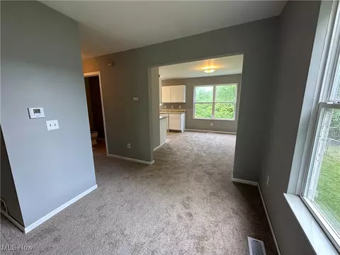 Other - 1001 Scott Ave, Ashtabula, OH 44004 photo 1 of 3