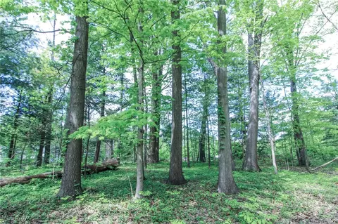 0 Norton Rd, Hudson, OH 44236