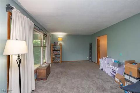357 Leatherman Rd, Wadsworth, OH 44281 photo 5
