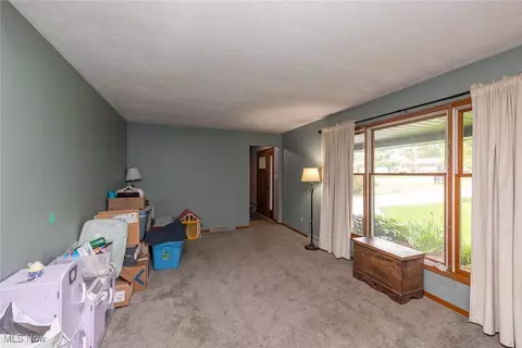 357 Leatherman Rd, Wadsworth, OH 44281 photo 6
