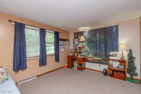 357 Leatherman Rd, Wadsworth, OH 44281 photo 24