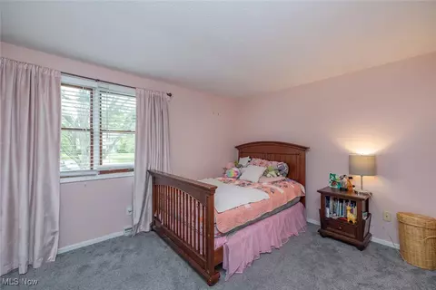 357 Leatherman Rd, Wadsworth, OH 44281 photo 22