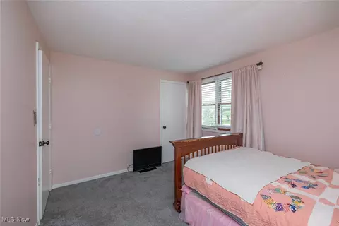 357 Leatherman Rd, Wadsworth, OH 44281 photo 23