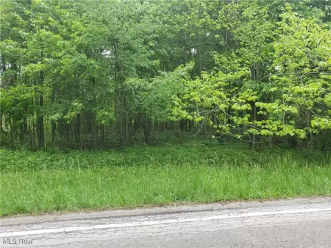 West Road, Wellington, OH 44090