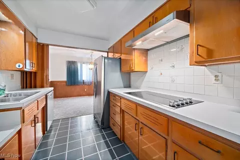817 Washington Ave, Elyria, OH 44035 photo 31