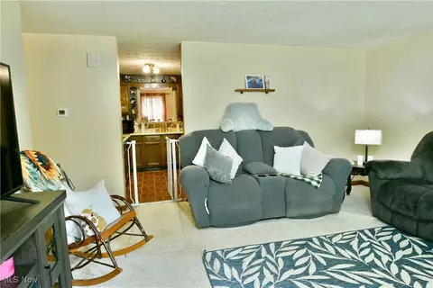 Living - 172 Camrose Dr, Niles, OH 44446 photo 3 of 3