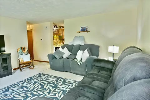 Living - 172 Camrose Dr, Niles, OH 44446 photo 1 of 3