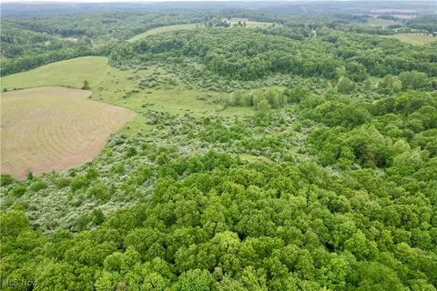 44312 Cream Ridge Rd, Lisbon, OH 44432