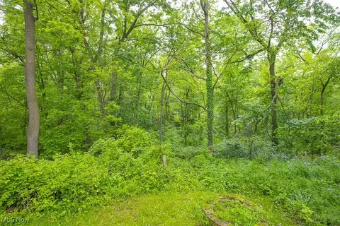 73 77 Prospect St, Berea, OH 44017 photo 5