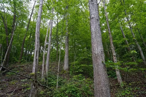 Township Rd 460, Woodsfield, OH 43793
