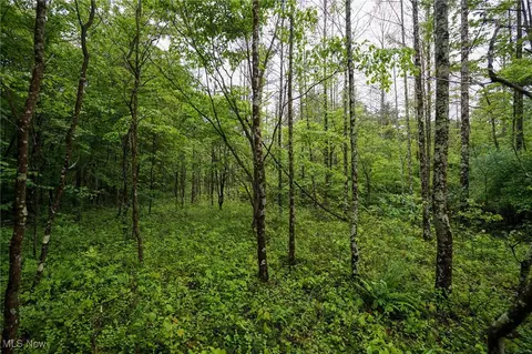 Township Rd 460, Woodsfield, OH 43793