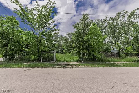 2980 E 81st St, Cleveland, OH 44104
