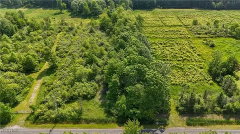 Brakeman Road, Painesville, OH 44077