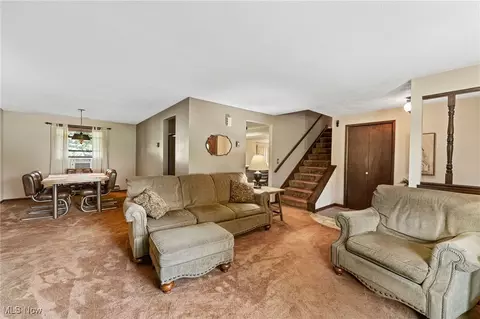 Other - 40698 Whitney Rd, Lagrange, OH 44050 photo 4 of 8