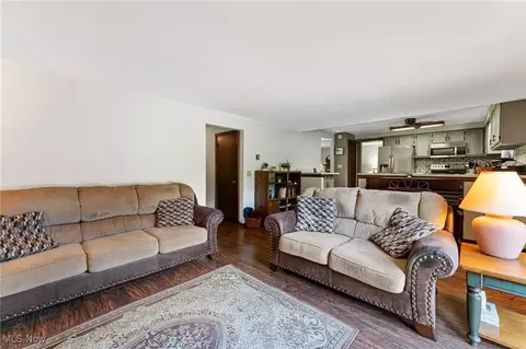 Living - 40698 Whitney Rd, Lagrange, OH 44050 photo 4 of 4
