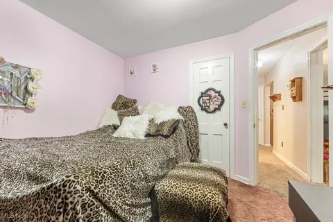 2733 E Waterloo Rd, Akron, OH 44312 photo 24