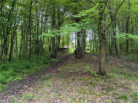5595 Ford Rd, Madison, OH 44057 photo 23