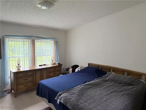 5595 Ford Rd, Madison, OH 44057 photo 15