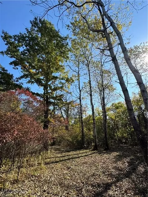 12056 Old State Rd, Chardon, OH 44024 photo 5