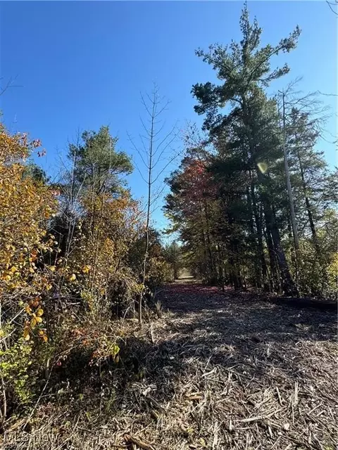 12056 Old State Rd, Chardon, OH 44024 photo 10