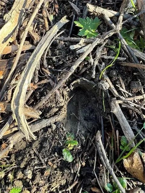 12056 Old State Rd, Chardon, OH 44024 photo 6