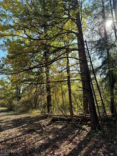 12056 Old State Rd, Chardon, OH 44024 photo 8